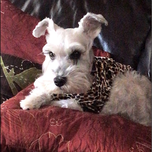 🥰 - Picture 2 of 3